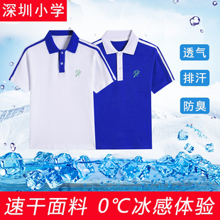 深圳小学生校服速干套装统一班服运动服儿童礼服，裤子夏季短袖短裤