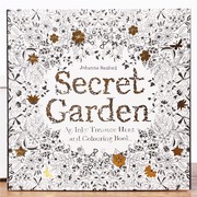 秘密花园涂色书英文版成人魔法森林填色绘本彩铅临摹画册原版手绘