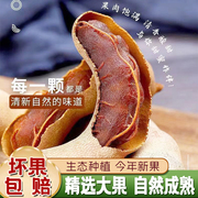 2023年新果酸角云南特产新鲜甜(新鲜甜)角果王零食(王零食，)天然无添加罗望子干开胃