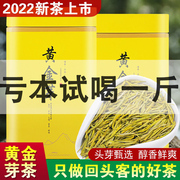 2024新茶雨前正宗安吉白茶黄金芽，茶叶正宗高山豆(高山豆)香味茶叶绿茶500g