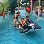 超大成人网红游泳圈充气坐骑，水上玩具冲浪神器黑鲸鱼救生浮排浮椅