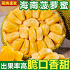 海南三亚黄肉菠萝蜜一整个新鲜孕妇热带水果当季木波罗蜜40斤整箱