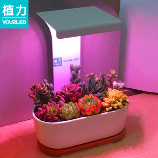 植力桌面植物灯多肉补光led全光谱上色USB家用室内育苗种植机
