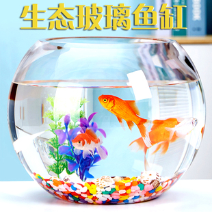 办公室小鱼缸加厚透明玻璃乌龟缸，客厅家用桌面圆形，迷你小型金鱼缸(金鱼缸)