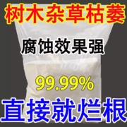 灭树粉烂根剂灭根粉专灭杂草竹，子树强效烂根腐烂灌木跟颗粒剂肥料