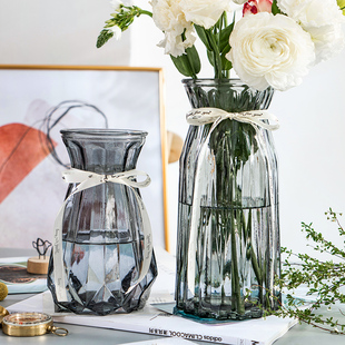 2件套创意玻璃花瓶透明水养，富贵竹干鲜花插花瓶客厅装饰摆件