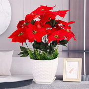 仿真绿植一品红假花摆件客厅，室内假植物假树办公室落地装饰小盆栽