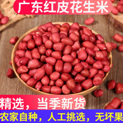 广东红皮花生米农家小粒新鲜四粒红衣花生2023年新花生米生的新货