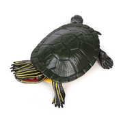 玩具仿真乌龟摆件手办海底海龟模型巴西龟儿童生物海洋动物