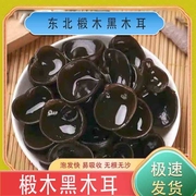 东北黑木耳干货特级500g秋木耳小云耳野生商用特产脆毛一级小碗耳