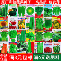 四季蔬菜种子菜园阳台，盆栽黄瓜菜种