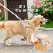 狗狗牵引绳遛狗绳金毛狗韩系泰迪狗小巧柴犬泰迪小猫咪柯基狗