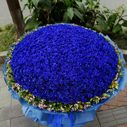 情人节送女生朋友闺蜜生日礼物女99朵蓝色妖姬玫瑰鲜花花束礼盒