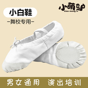 白色舞蹈鞋儿童女童软底练功鞋跳舞鞋成人男猫爪形体古典芭蕾舞鞋