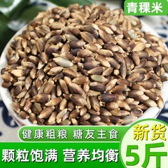 青稞米新米5斤香格里拉农家大麦仁