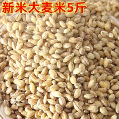 大麦米5斤新米去皮粗粮