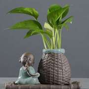 紫砂陶瓷茶宠花盆水养植物绿萝铜钱，草水培花瓶，插花器皿家居装饰品