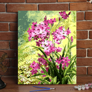 diy数字油画风景花卉植物手工填色画餐厅卧室油彩手绘装饰画芬芳