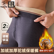 驼绒男士保暖裤男款冬季加绒秋裤加厚防寒裤绒裤打底裤棉毛裤大码