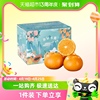 广西柑橘沃柑5斤大果彩箱水果礼盒新鲜当季整箱桔子柑橘