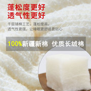 4斤 新疆棉被棉絮四季通用手工棉花被单双人冬被春秋纯棉褥子被芯
