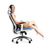 中特电脑椅办公室椅子靠背，护腰人体工程学，升降椅家用座椅转椅舒适