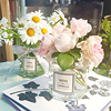 简约现代透明小号玻璃花瓶送贴纸插花卉绿植家居客厅桌面花器