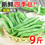 广西四季豆新鲜应季9斤农家蔬菜时令豌豆毛豆荷兰豆5四角甜豆