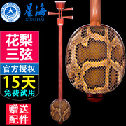 北京星海8302三弦花梨木，三弦乐器民族，弹拨乐器星海乐器