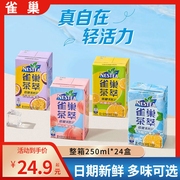 新日期雀巢茶萃桃子清乌龙柠檬红茶百香果绿茶低糖果汁饮料250ml