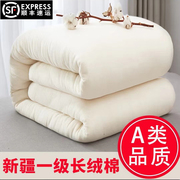 新疆棉花被芯一级长绒棉，纯棉花被子冬被加厚保暖棉絮床垫手工