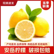 四川安岳黄柠檬当季新果现摘现发皮薄汁多整箱商超一级果特产