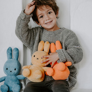 荷兰Miffy米菲兔公仔玩偶抱枕宝宝安抚布娃娃 毛绒玩具送儿童礼物