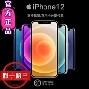 Apple/苹果 iPhone 12苹果12国行双卡5G手机分期免息