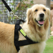 反光宠物牵引绳 大型犬中型犬狗绳子狗链子 金毛萨摩胸背带牵引带