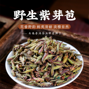 2024年早春明前野生紫芽苞茶，云南大雪山紫芽嫩芽，古树茶普洱生茶