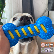 宠物狗玩具双层耐咬橡胶骨头磨牙金毛边(金毛边，)牧大型犬自嗨解闷发声玩具