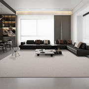 高级感家用客厅地毯现代轻奢简约极简北欧高端羊毛混纺沙发茶几毯