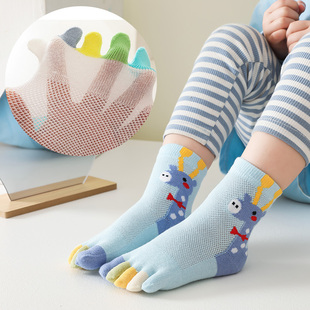 儿童夏季五指袜护跟运动纯薄棉网眼透气宝宝，卡通精梳棉脚趾袜sock