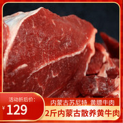 内蒙古新鲜牛肉   散养草原黄牛肉儿童黄膘牛肉2斤原切生牛肉整块