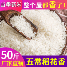 五常稻花香米50斤【2021年新米】东北黑龙江大米20斤长粒香农家米