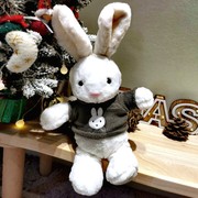 可爱小兔子玩偶兔公仔小兔兔，毛绒玩具安抚兔，布娃娃送女友生日礼物