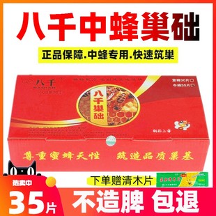 八千巢础中蜂巢脾蜂巢础巢框成品，带框蜜蜂巢，基中蜂蜡巢皮养蜂工具