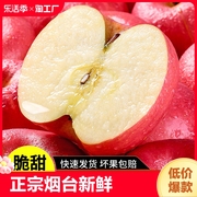 烟台红富士苹果10斤水果新鲜整箱自提一级大果直发产地脆甜