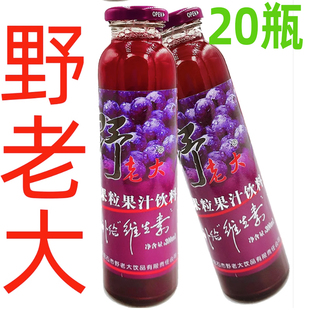 野老大牙克石20瓶大兴安岭野生蓝莓汁整箱玻璃瓶，果粒果汁饮料