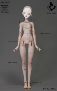 珊瑚礁鲸鱼岛自制4分鲸鱼体bjd娃娃，素体sd娃娃宽肩标配肩