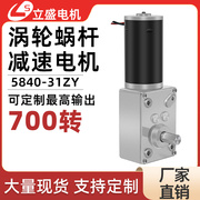 立盛5840-31zy微型直流，减速电机涡轮蜗杆自锁调速慢速马达12v24v