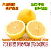 黄柠檬新鲜水果安岳鲜柠果一二级皮薄大果9斤整箱坏的包赔