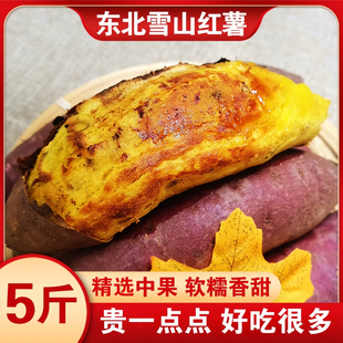 东北玛莎莉雪山红薯5斤10斤日本黄金蜜薯康平地瓜新鲜小番薯山芋