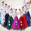 藏族舞蹈服装女广场舞大摆裙艺考蒙古练习长裙民族演出服半身